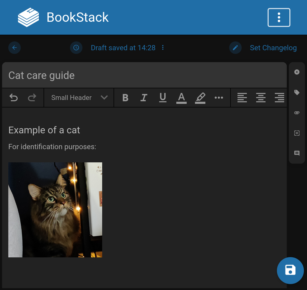 View of the new WYSIWYG editor in a dark theme, with some content in the editor titled &ldquo;Cat care guide&rdquo; with a picture of a fluffy cat