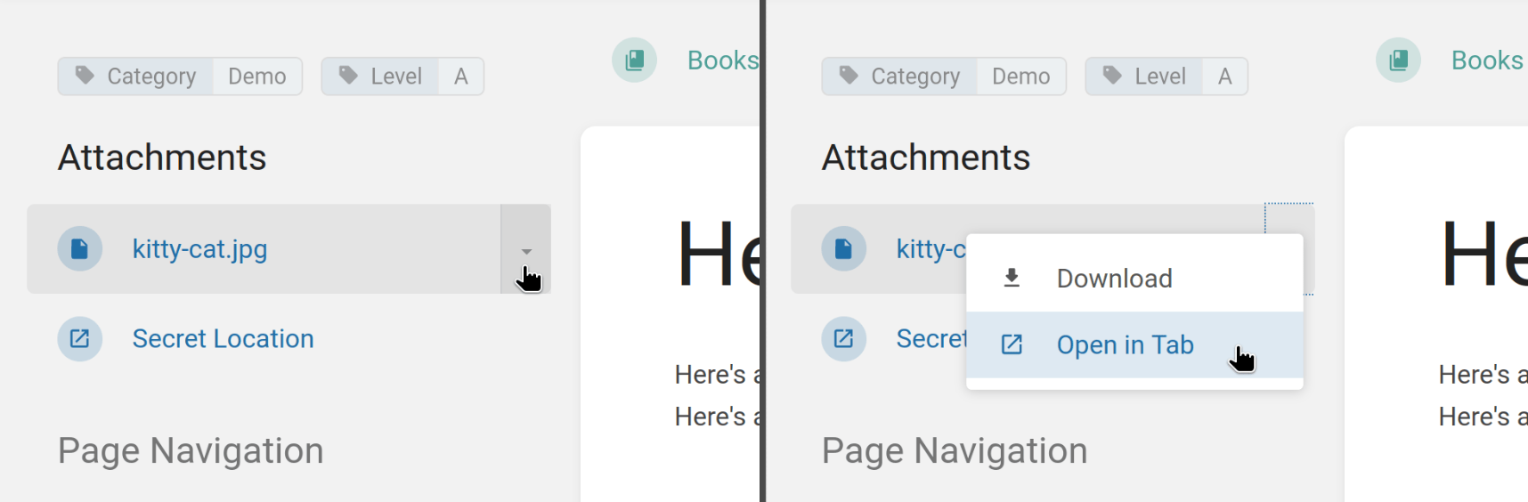 View of the sidebar when viewing a page with two attachments: a &ldquo;kitty-cat.jpg&rdquo; file attachment and &ldquo;Secret Location&rdquo; link attachment. There&rsquo;s also a view of the same but showing a dropdown menu on the right of the attachment, with &ldquo;Download&rdquo; and &ldquo;Open in Tab&rdquo; options