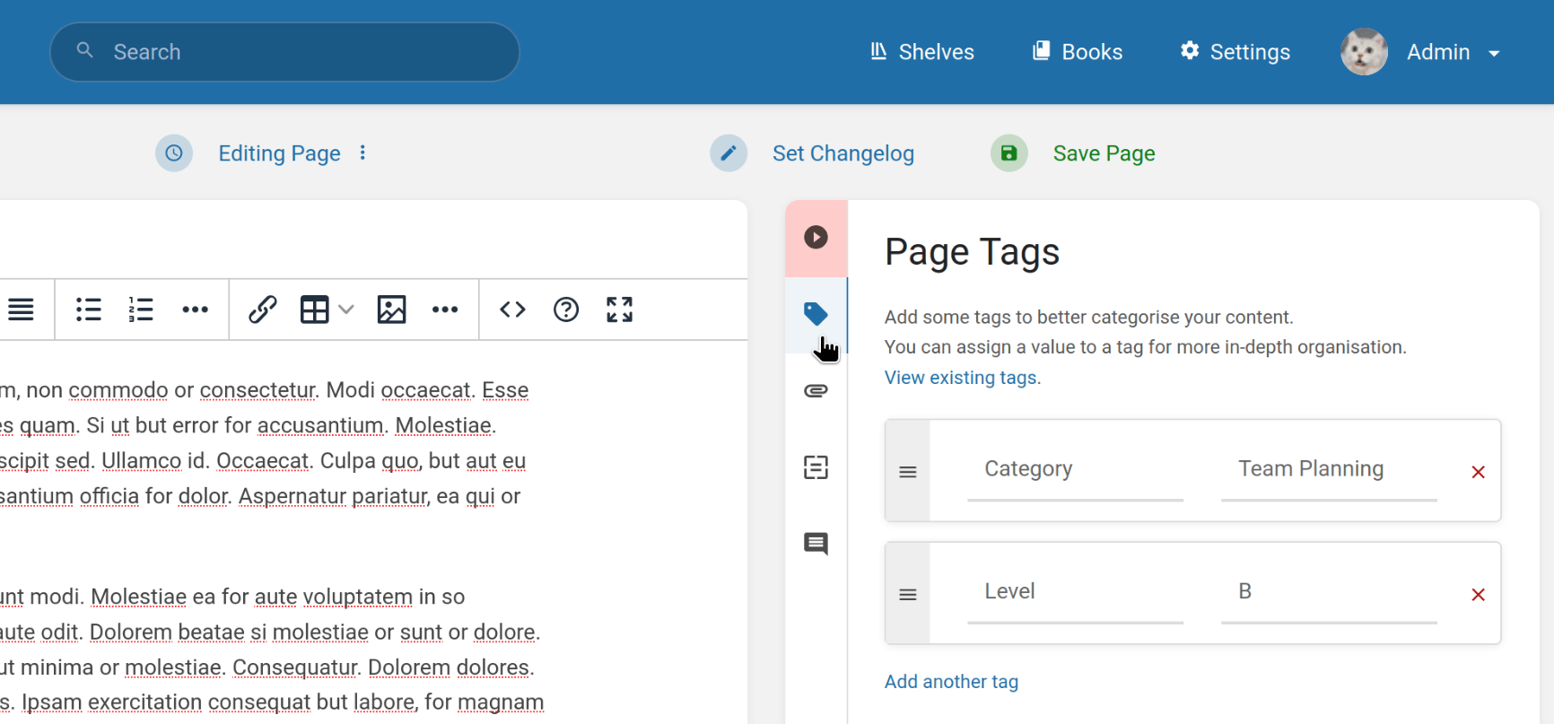 View of the page editor, with a &ldquo;Page Tags&rdquo; section open in the sidebar